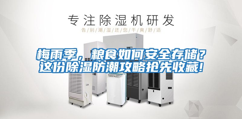 梅雨季，糧食如何安全存儲(chǔ)？這份除濕防潮攻略搶先收藏!