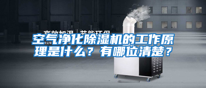 空氣凈化除濕機(jī)的工作原理是什么?有哪位清楚?