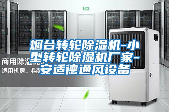 煙臺轉輪除濕機-小型轉輪除濕機廠家-安適德通風設備