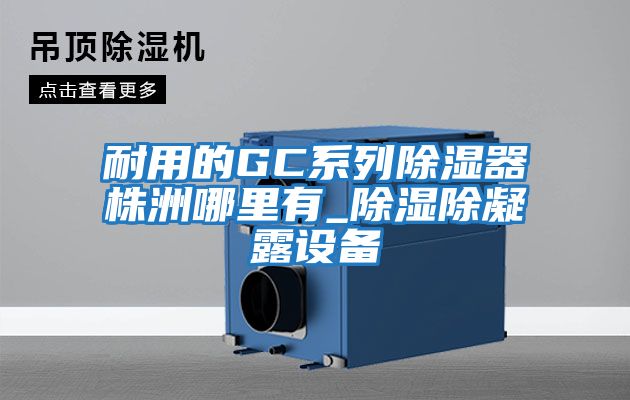 耐用的GC系列除濕器株洲哪里有_除濕除凝露設備