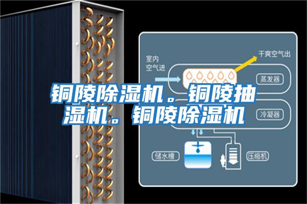 銅陵除濕機(jī)。銅陵抽濕機(jī)。銅陵除濕機(jī)