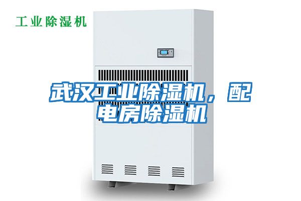 武漢工業(yè)除濕機(jī)，配電房除濕機(jī)
