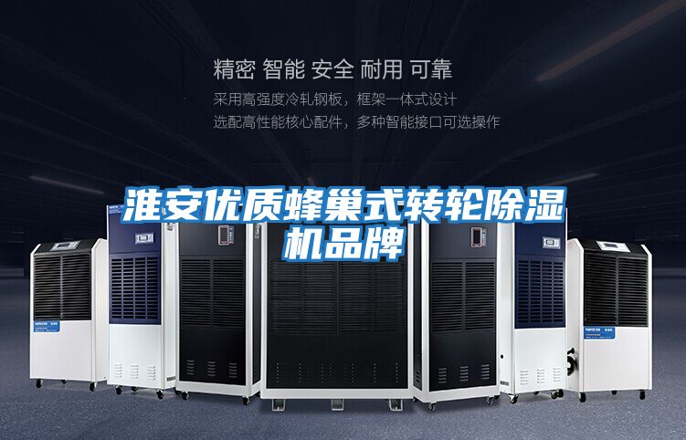 淮安優(yōu)質(zhì)蜂巢式轉輪除濕機品牌