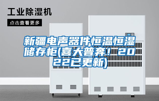新疆電聲器件恒溫恒濕儲存柜(喜大普奔！2022已更新)