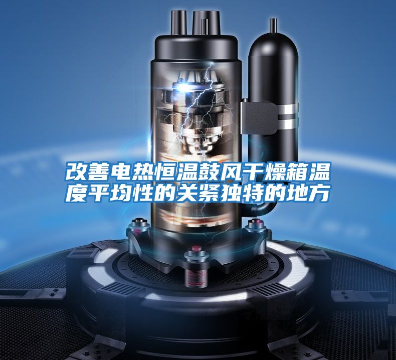 改善電熱恒溫鼓風干燥箱溫度平均性的關(guān)緊獨特的地方