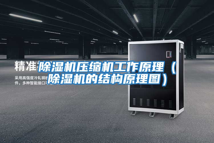 除濕機(jī)壓縮機(jī)工作原理(除濕機(jī)的結(jié)構(gòu)原理圖)