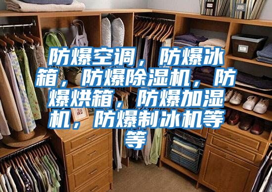 防爆空調(diào)，防爆冰箱，防爆除濕機(jī)，防爆烘箱，防爆加濕機(jī)，防爆制冰機(jī)等等