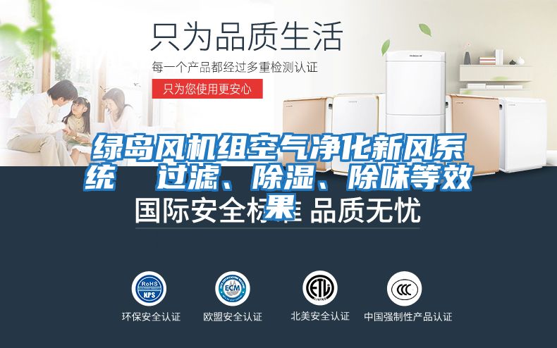 綠島風機組空氣凈化新風系統  過濾、除濕、除味等效果