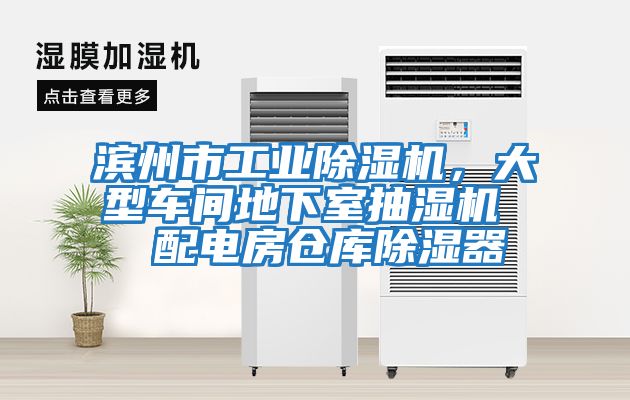 濱州市工業(yè)除濕機，大型車間地下室抽濕機  配電房倉庫除濕器
