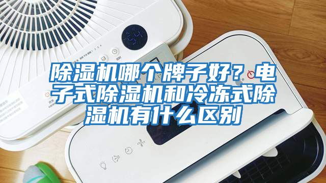除濕機哪個牌子好？電子式除濕機和冷凍式除濕機有什么區(qū)別