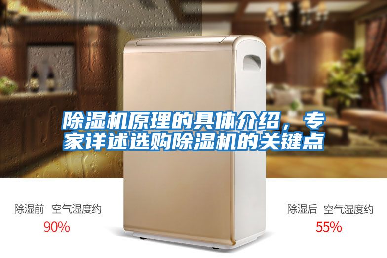 除濕機原理的具體介紹，專家詳述選購除濕機的關鍵點
