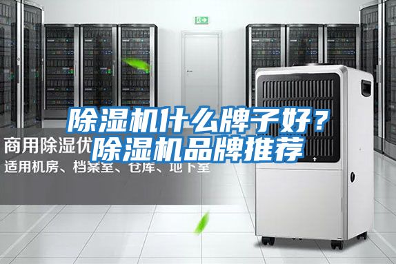 除濕機什么牌子好?除濕機品牌推薦