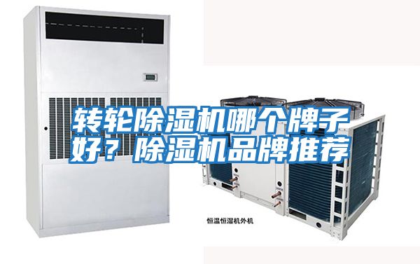 轉輪除濕機哪個牌子好？除濕機品牌推薦