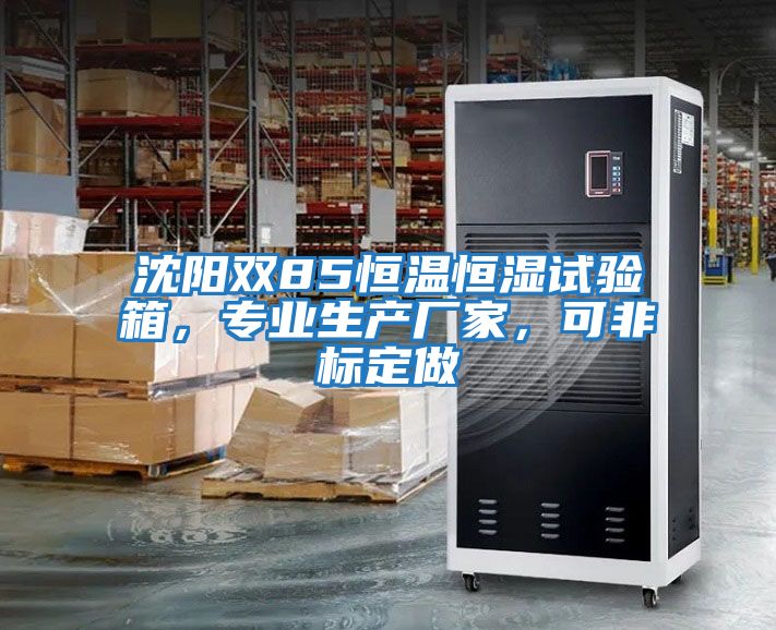 沈陽雙85恒溫恒濕試驗箱,專業生產廠家,可非標定做