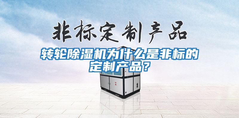 轉輪除濕機為什么是非標的定制產品？