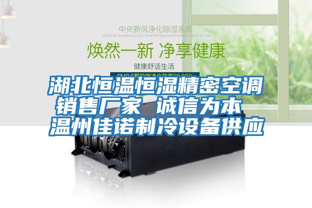 湖北恒溫恒濕精密空調銷售廠家 誠信為本 溫州佳諾制冷設備供應