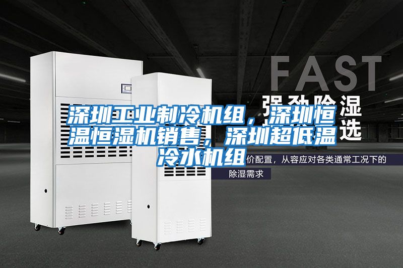 深圳工業制冷機組,深圳恒溫恒濕機銷售,深圳超低溫冷水機組