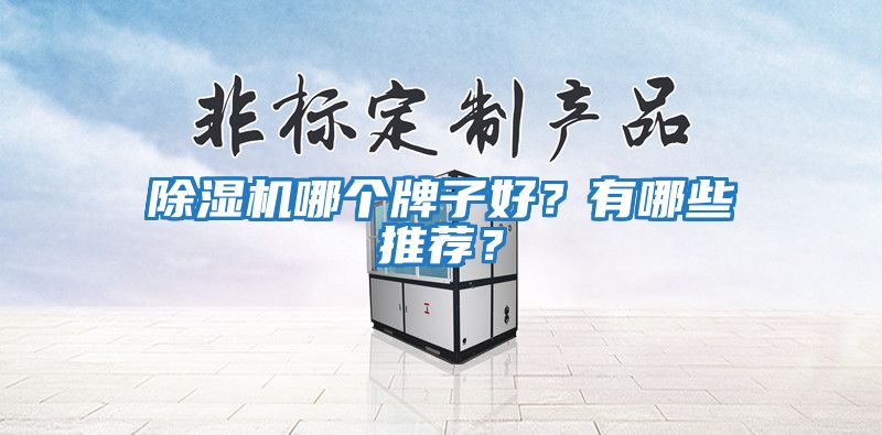 除濕機(jī)哪個(gè)牌子好?有哪些推薦?