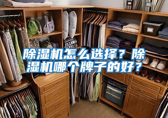除濕機怎么選擇？除濕機哪個牌子的好？