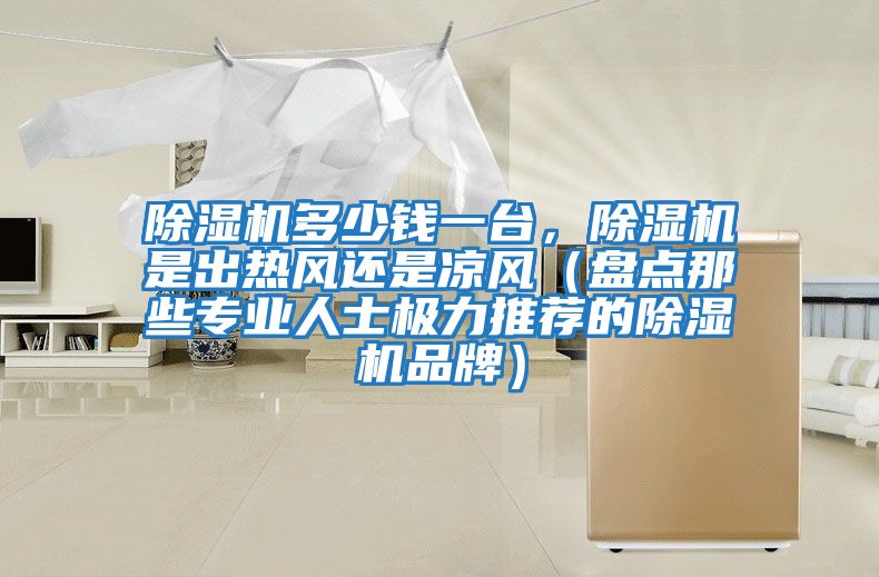 除濕機(jī)多少錢一臺,除濕機(jī)是出熱風(fēng)還是涼風(fēng)(盤點那些專業(yè)人士極力推薦的除濕機(jī)品牌)