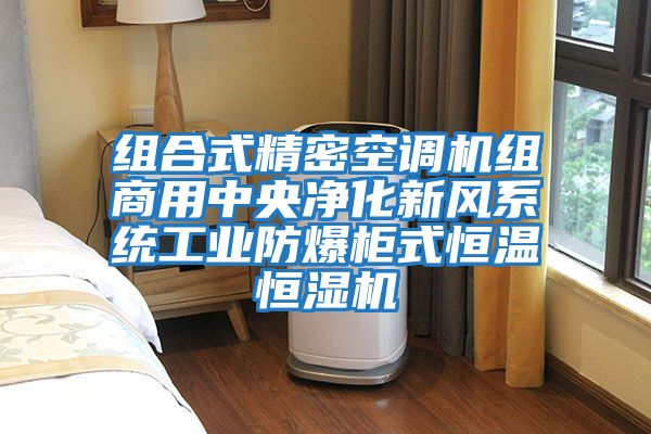 組合式精密空調(diào)機組商用中央凈化新風系統(tǒng)工業(yè)防爆柜式恒溫恒濕機