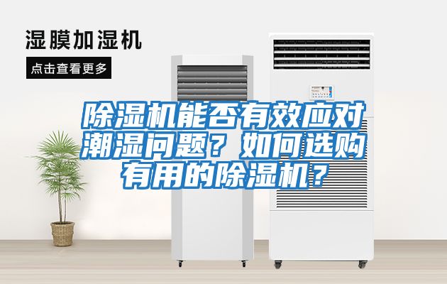 除濕機能否有效應對潮濕問題？如何選購有用的除濕機？