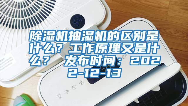 除濕機抽濕機的區別是什么?工作原理又是什么? 發布時間:2022-12-13