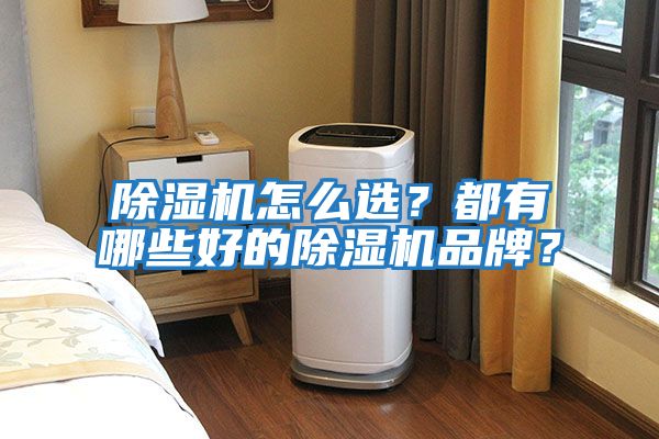 除濕機怎么選?都有哪些好的除濕機品牌?