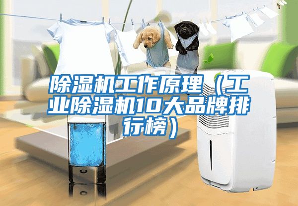 除濕機工作原理(工業除濕機10大品牌排行榜)