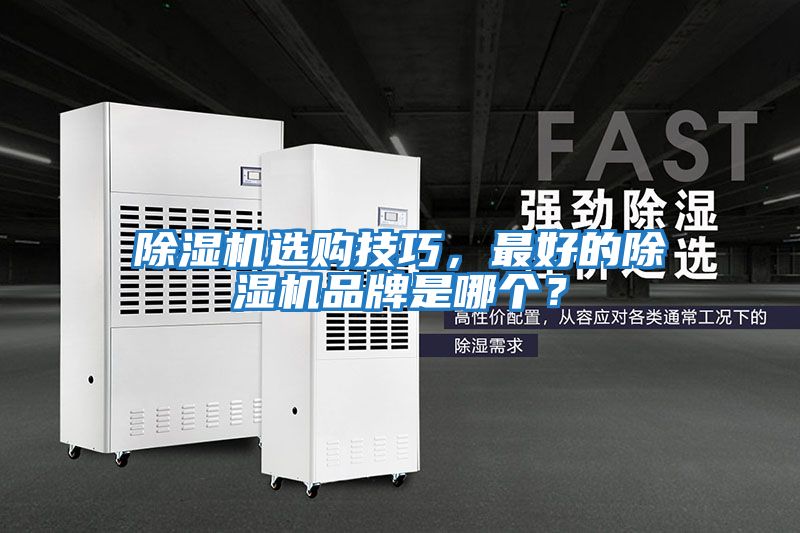 除濕機選購技巧，最好的除濕機品牌是哪個？