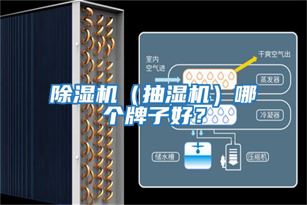 除濕機(jī)（抽濕機(jī)）哪個(gè)牌子好？