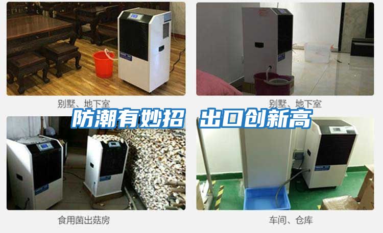 防潮有妙招 出口創新高