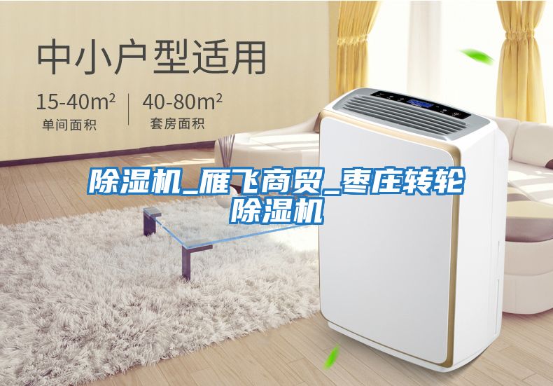 除濕機_雁飛商貿(mào)_棗莊轉輪除濕機