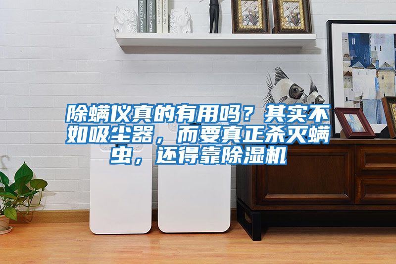 除螨儀真的有用嗎？其實不如吸塵器，而要真正殺滅螨蟲，還得靠除濕機