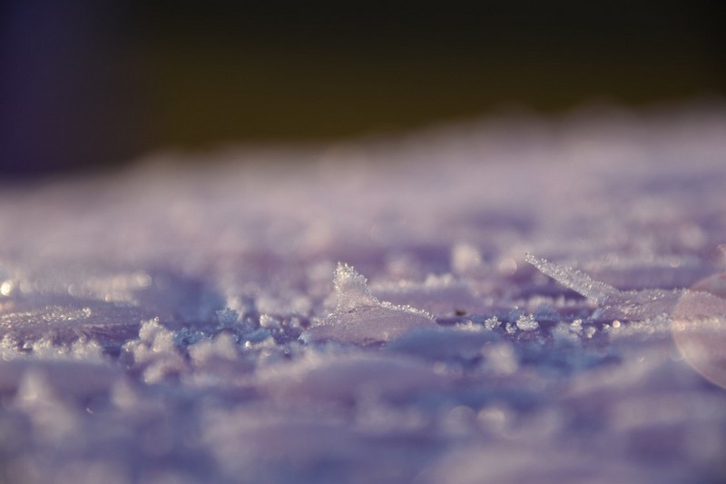 你知道除濕機為什么需要自動化霜嗎？ 冷凍式除濕機化霜功能