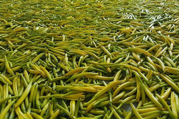 無硫金針菜烘干如何保持品相？不發黑？_除濕機廠家